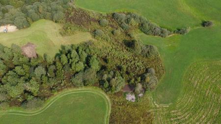 9 Odstranjevanje zarasti na Radenskem polju